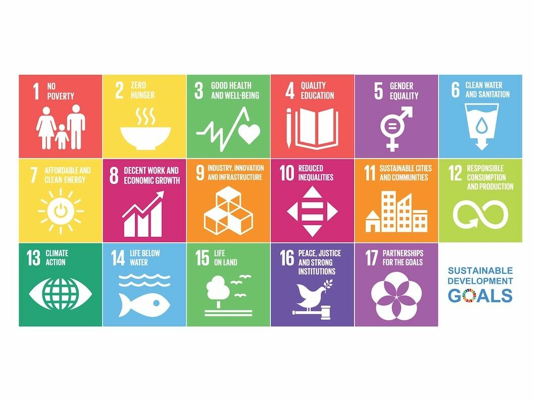 Die 17 UN Ziele für nachhaltige Entwicklung im Bereich ESg